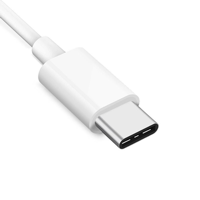 interfaccia usb c
